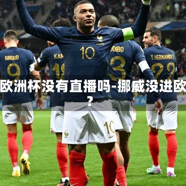 挪威进欧洲杯没有直播吗-挪威没进欧洲杯?