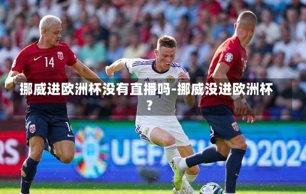 挪威进欧洲杯没有直播吗-挪威没进欧洲杯?