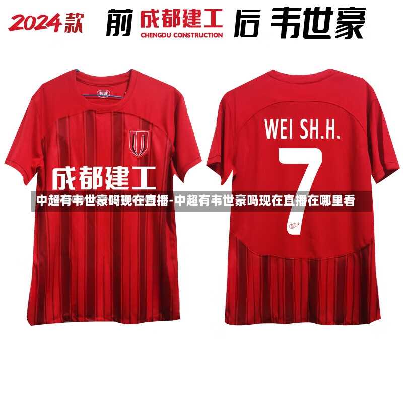中超有韦世豪吗现在直播-中超有韦世豪吗现在直播在哪里看