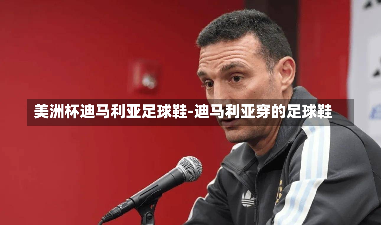 美洲杯迪马利亚足球鞋-迪马利亚穿的足球鞋