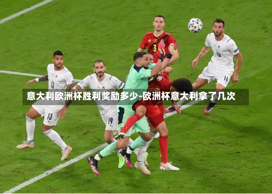 意大利欧洲杯胜利奖励多少-欧洲杯意大利拿了几次