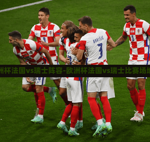 欧洲杯法国vs瑞士阵容-欧洲杯法国vs瑞士比赛场地