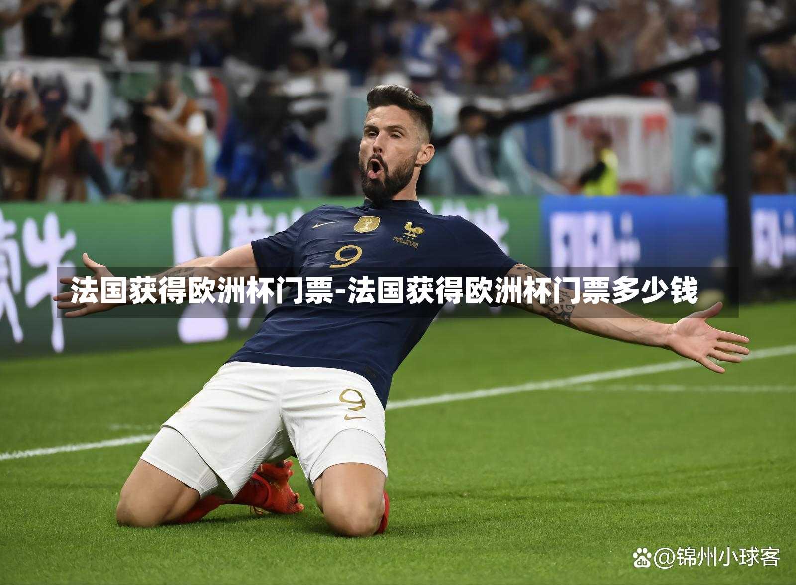 法国获得欧洲杯门票-法国获得欧洲杯门票多少钱