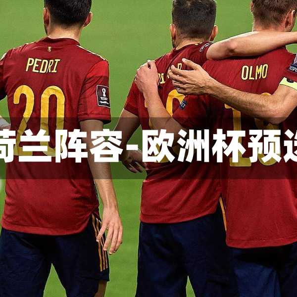 欧洲杯预选法国荷兰阵容-欧洲杯预选赛法国队阵容