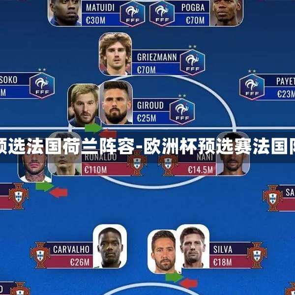 欧洲杯预选法国荷兰阵容-欧洲杯预选赛法国队阵容
