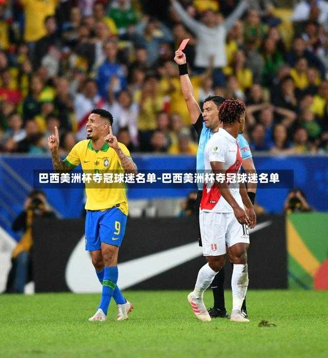 巴西美洲杯夺冠球迷名单-巴西美洲杯夺冠球迷名单