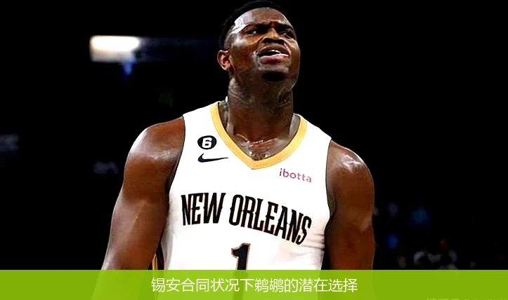 锡安合同状况下鹈鹕的潜在选择