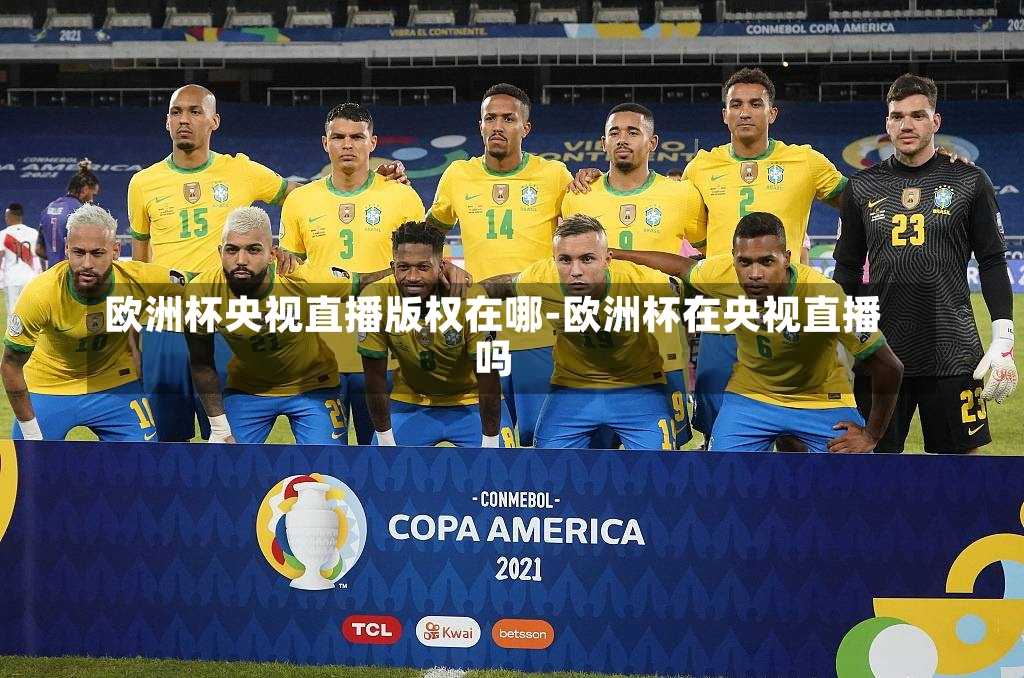 欧洲杯央视直播版权在哪-欧洲杯在央视直播吗
