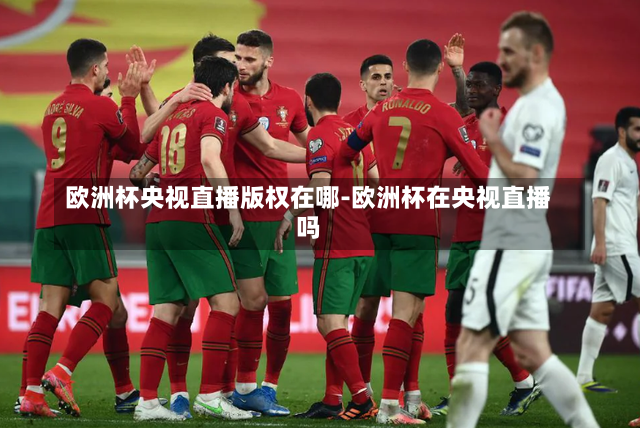 欧洲杯央视直播版权在哪-欧洲杯在央视直播吗