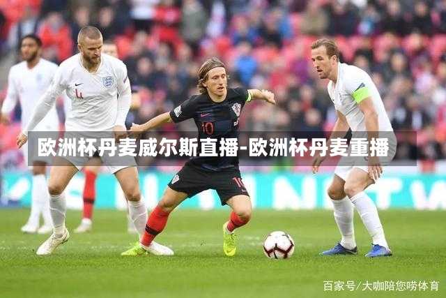 欧洲杯丹麦威尔斯直播-欧洲杯丹麦重播
