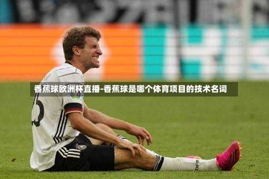 香蕉球欧洲杯直播-香蕉球是哪个体育项目的技术名词