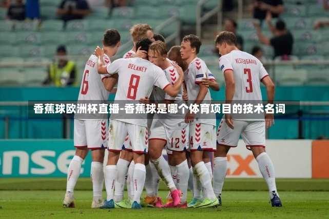 香蕉球欧洲杯直播-香蕉球是哪个体育项目的技术名词