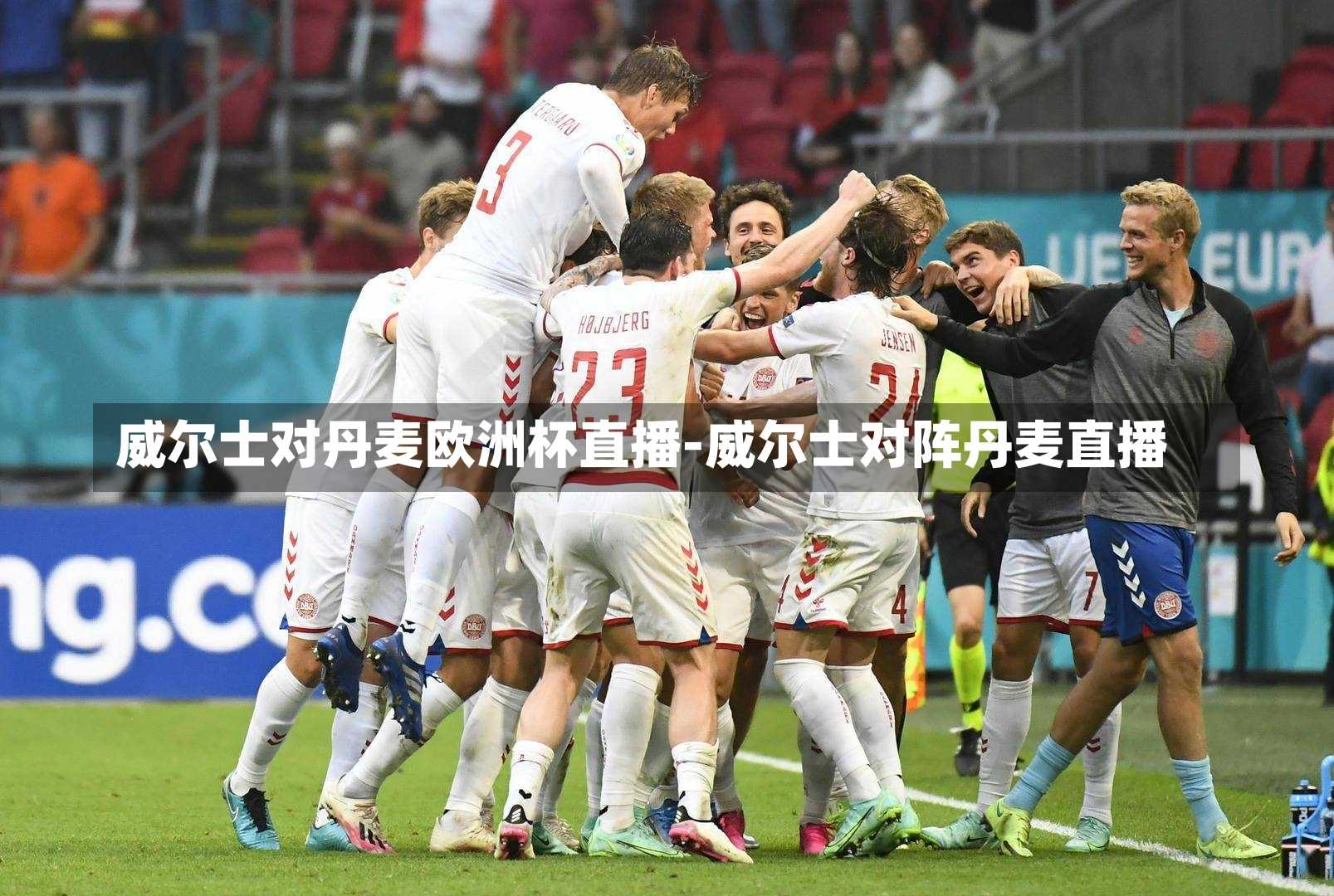 威尔士对丹麦欧洲杯直播-威尔士对阵丹麦直播