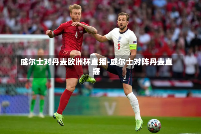 威尔士对丹麦欧洲杯直播-威尔士对阵丹麦直播