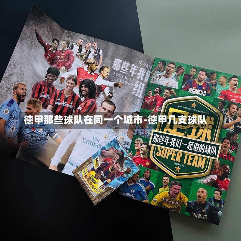 德甲那些球队在同一个城市-德甲几支球队