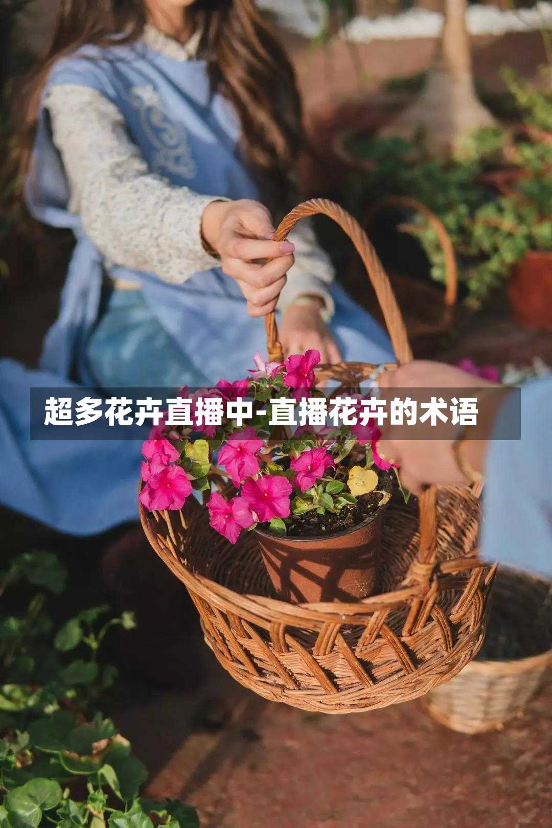 超多花卉直播中-直播花卉的术语