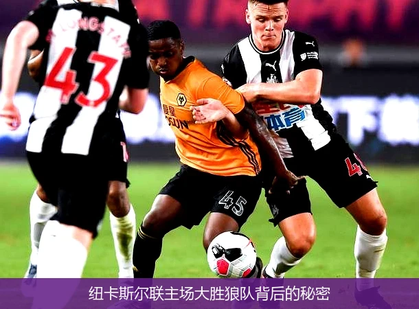 纽卡斯尔联主场大胜狼队背后的秘密